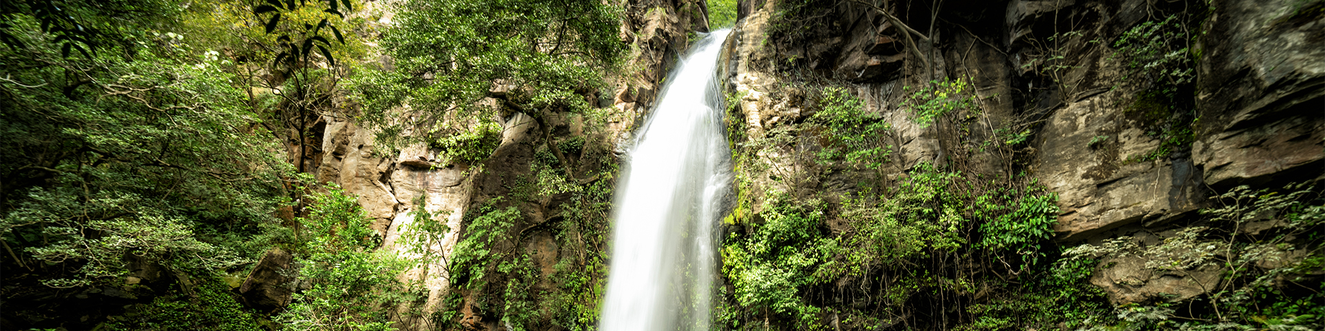 Costa Rica - Liberia - banner