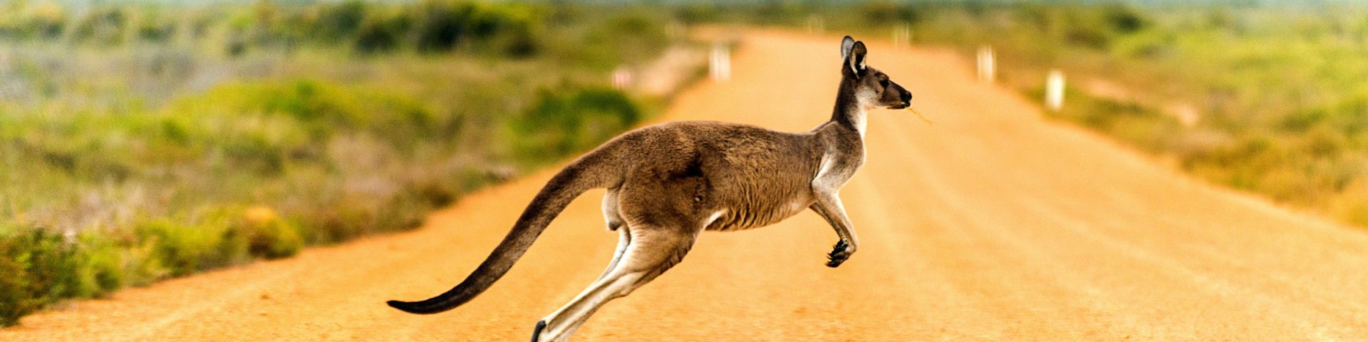 europauto-australie-1920x480
