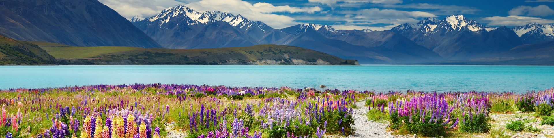 nouvellle-zelande-1920x480